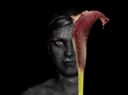 Caesar 2011 Werbepreis upload/profile/thumb_84caesar00web2.jpg